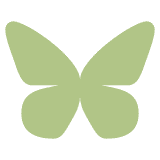 kiwiscanfly's Avatar